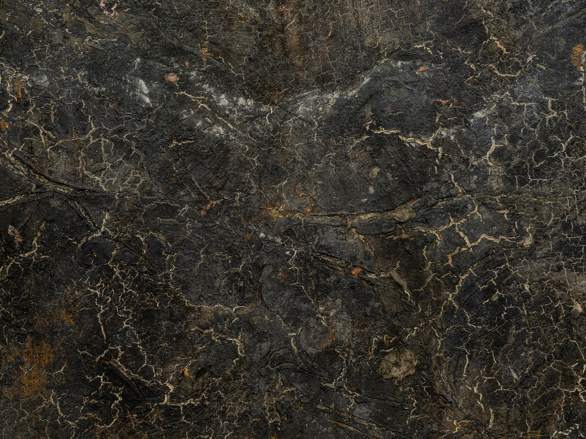 Detail of abstract painting by Hà Mạnh Thắng featuring a dark, stone-like surface with layered...