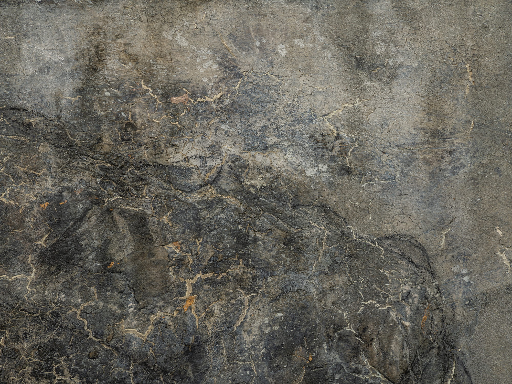 Detail of abstract painting by Hà Mạnh Thắng featuring a dark, stone-like surface with layered...