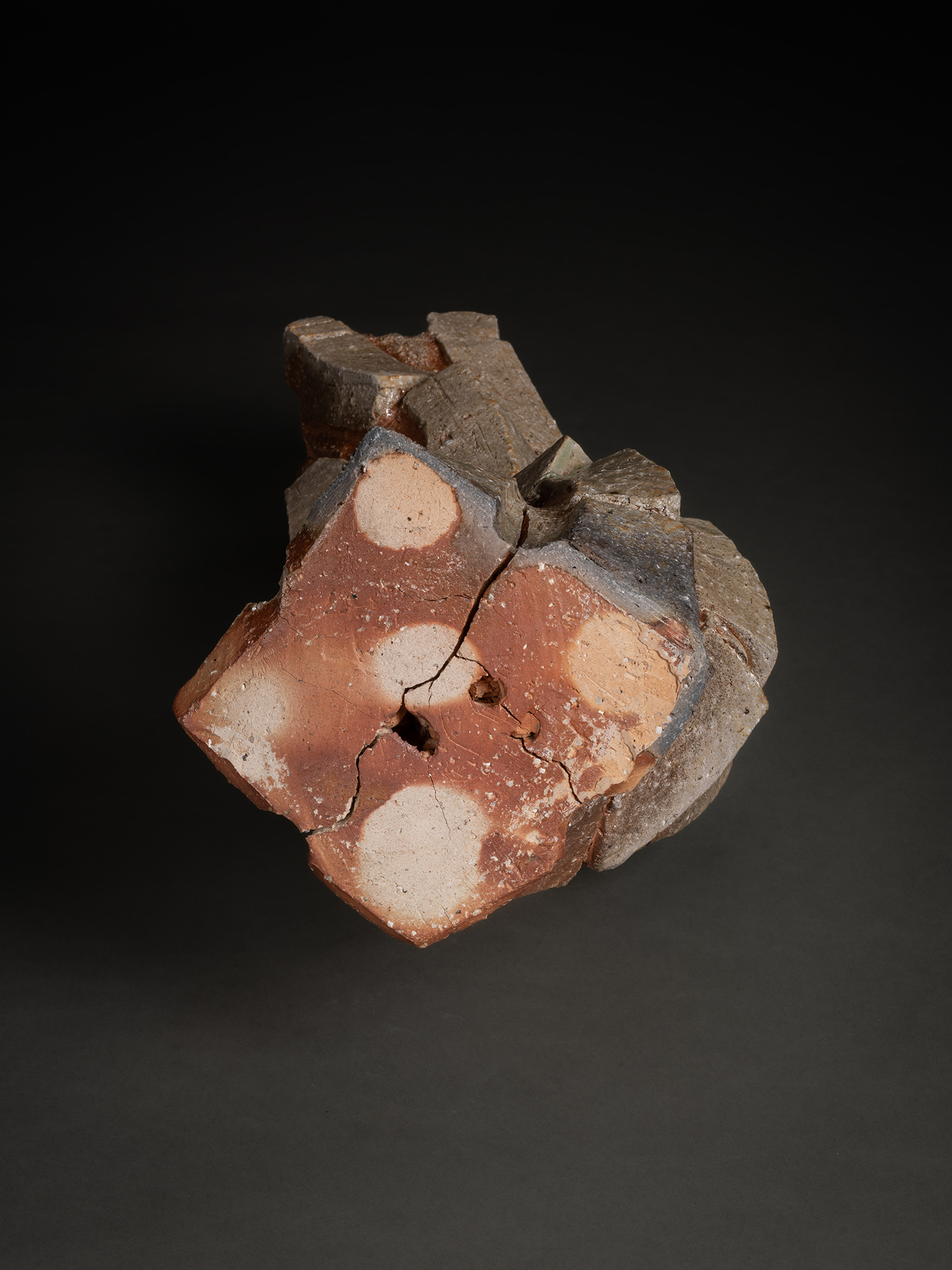 Foot view of a natural ash sculptural form by Shōzō Michikawa, showing a multi-lobed base with...