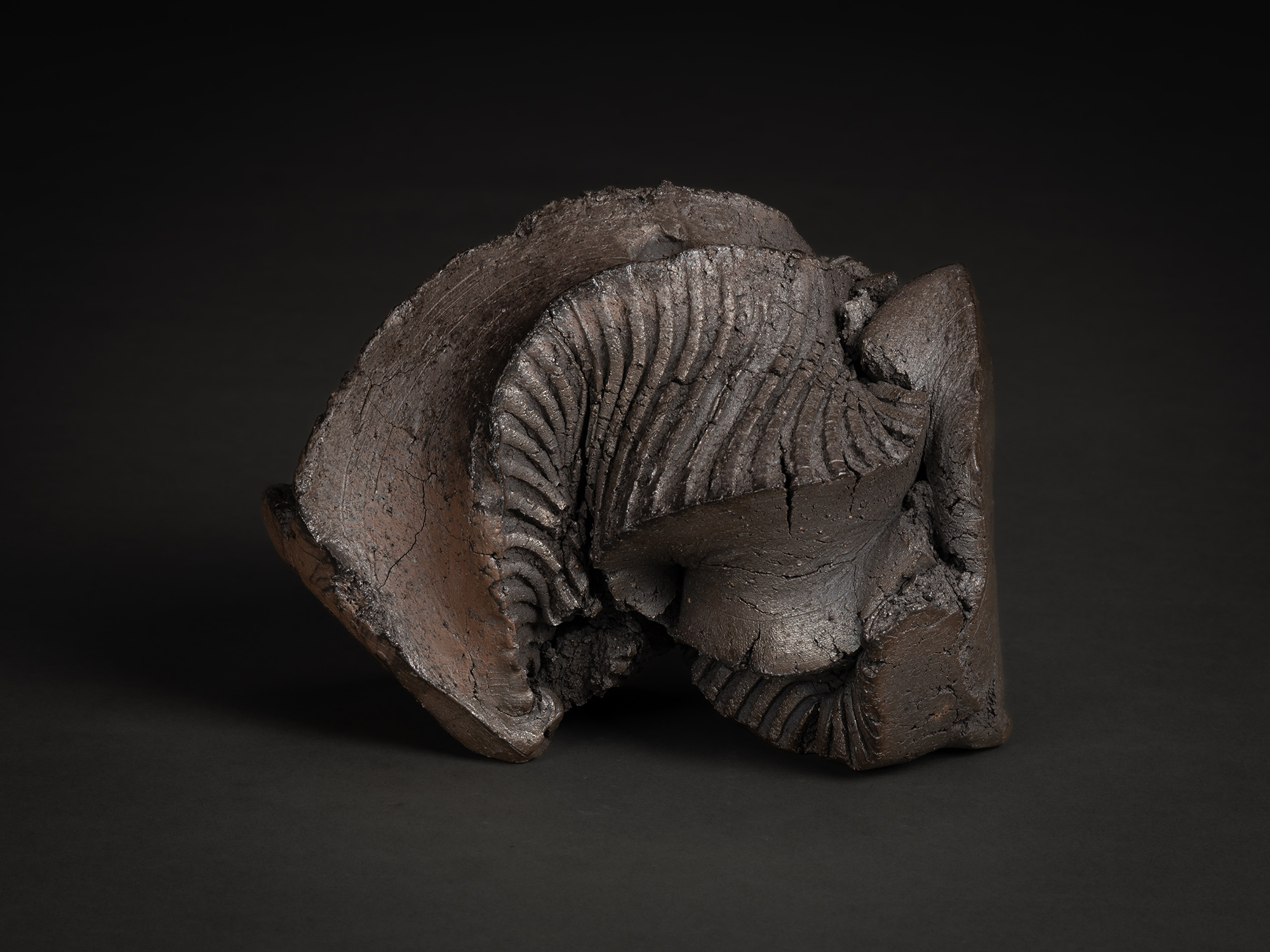 A horizontal view of a rugged sculptural form by Shozo Michikawa. The piece is characterized by...
