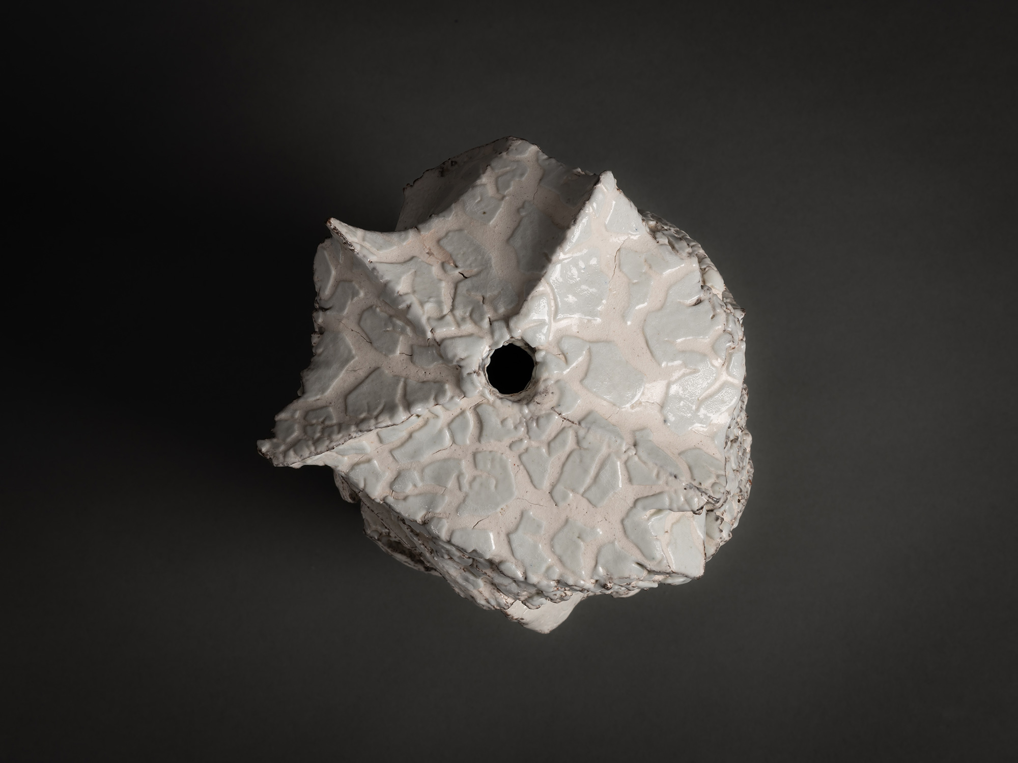 Aerial view of Kohiki Sculptural Form by Shōzō Michikawa showing an irregular geometric top surface...
