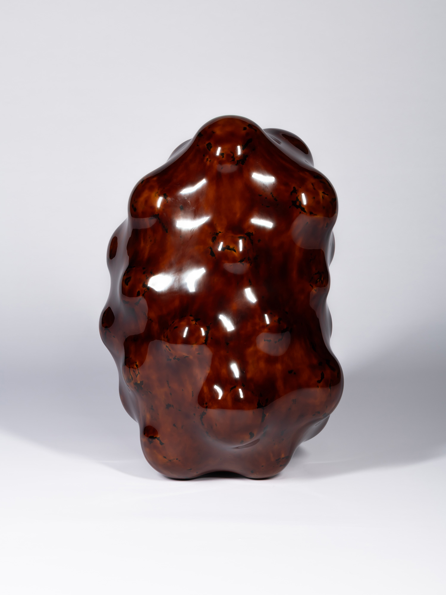View of Surface Tactility #5 emphasizing its organic contours and bulbous projections. Light reflects...