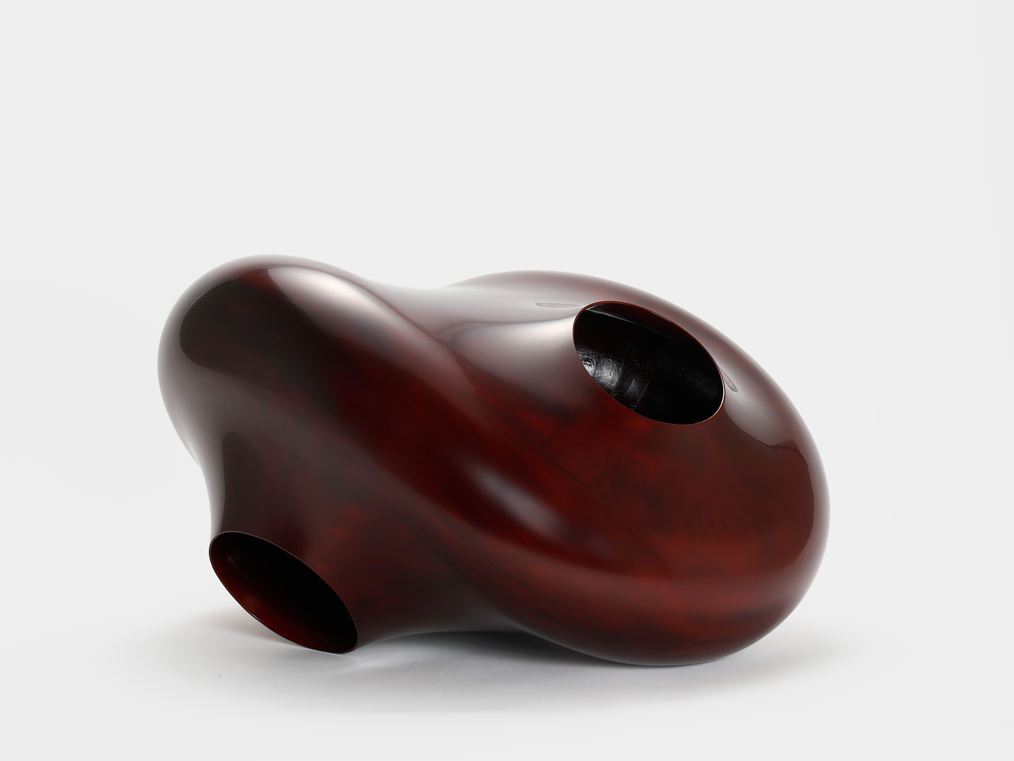 View of Penetration by Genta Ishizuka, an organic dark lacquer sculpture with a highly polished...